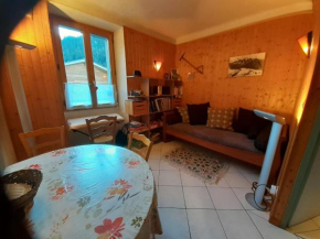 Appartement La mer de glace